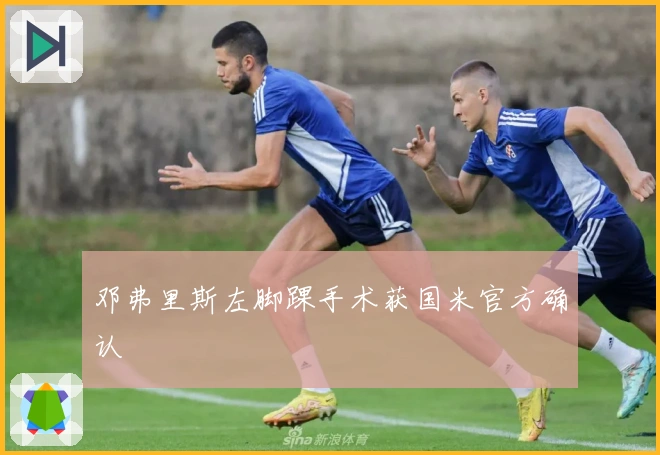 邓弗里斯左脚踝手术获国米官方确认