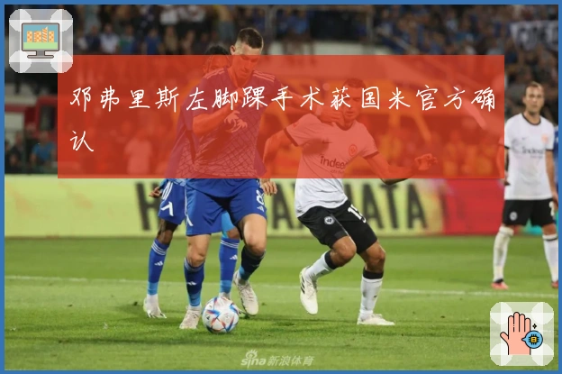 邓弗里斯左脚踝手术获国米官方确认